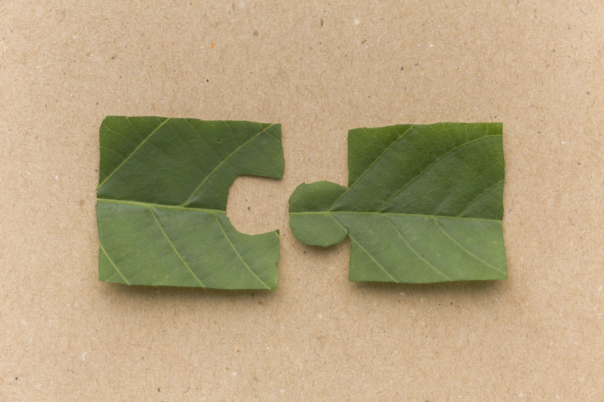 Closing the Gap: Final Reflections and a Vision for the Future